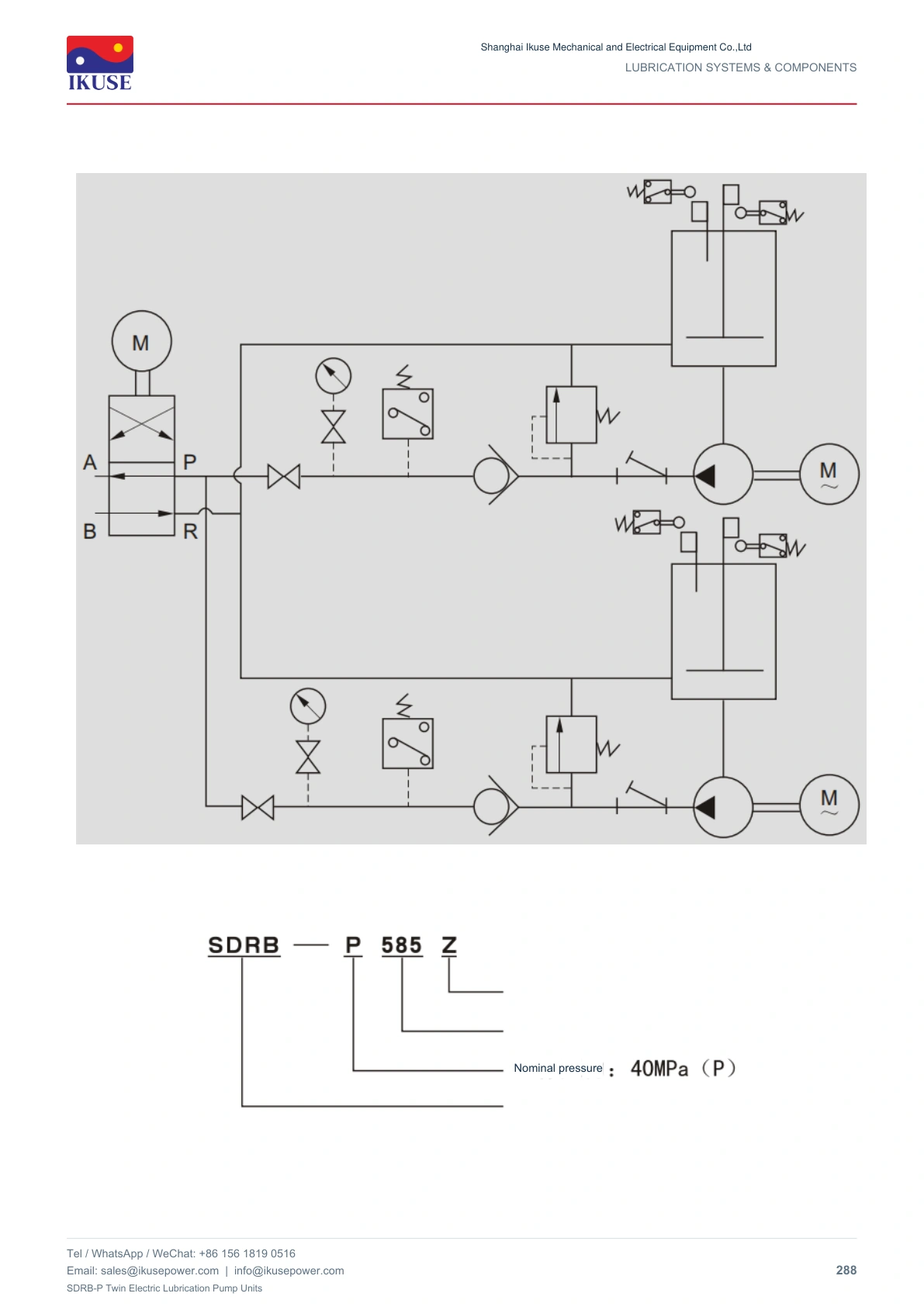 IKUSE SDRB-P Twin Electric Lubrication Pump Units image 4