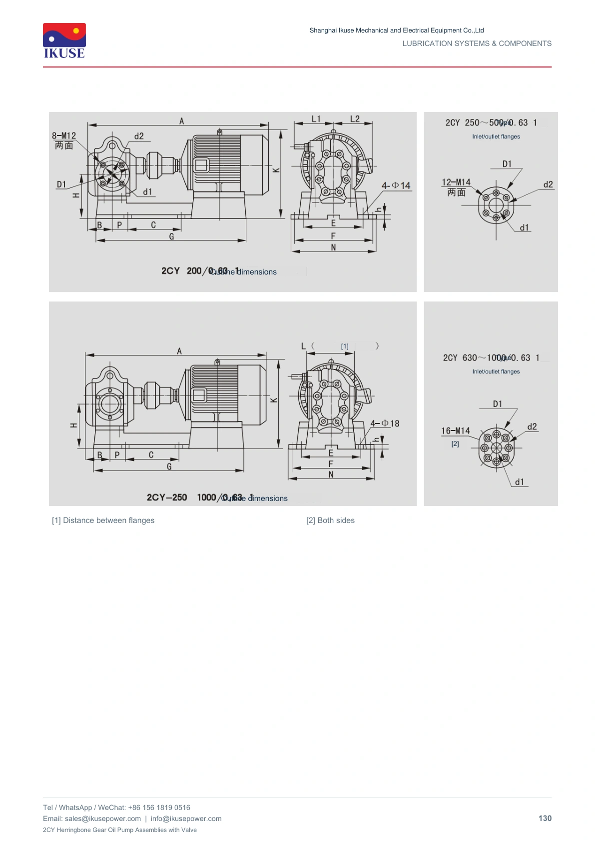 IKUSE 2CY Herringbone Gear Oil Pump Assemblies with Valve image 3