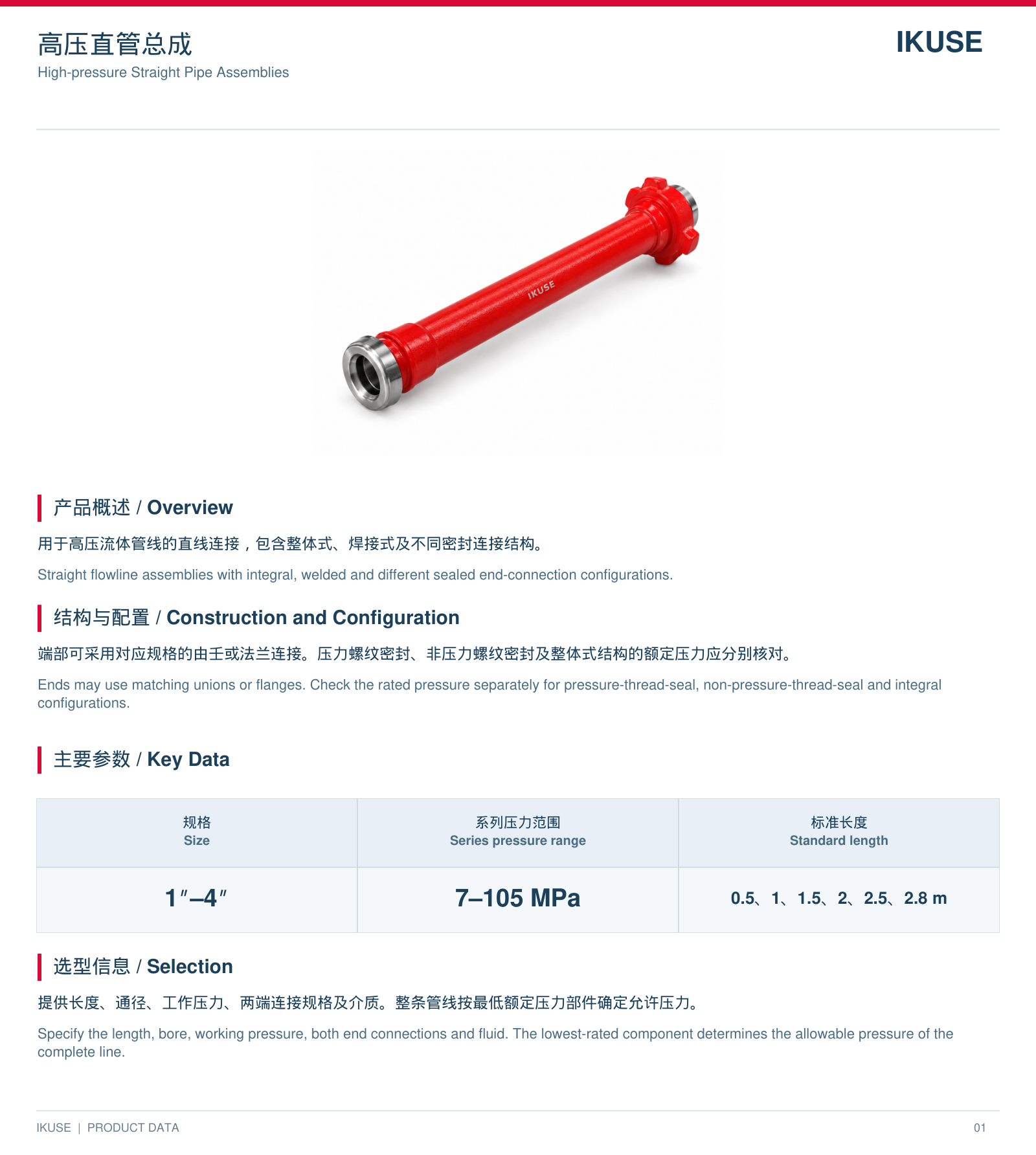 IKUSE 高压直管总成图2