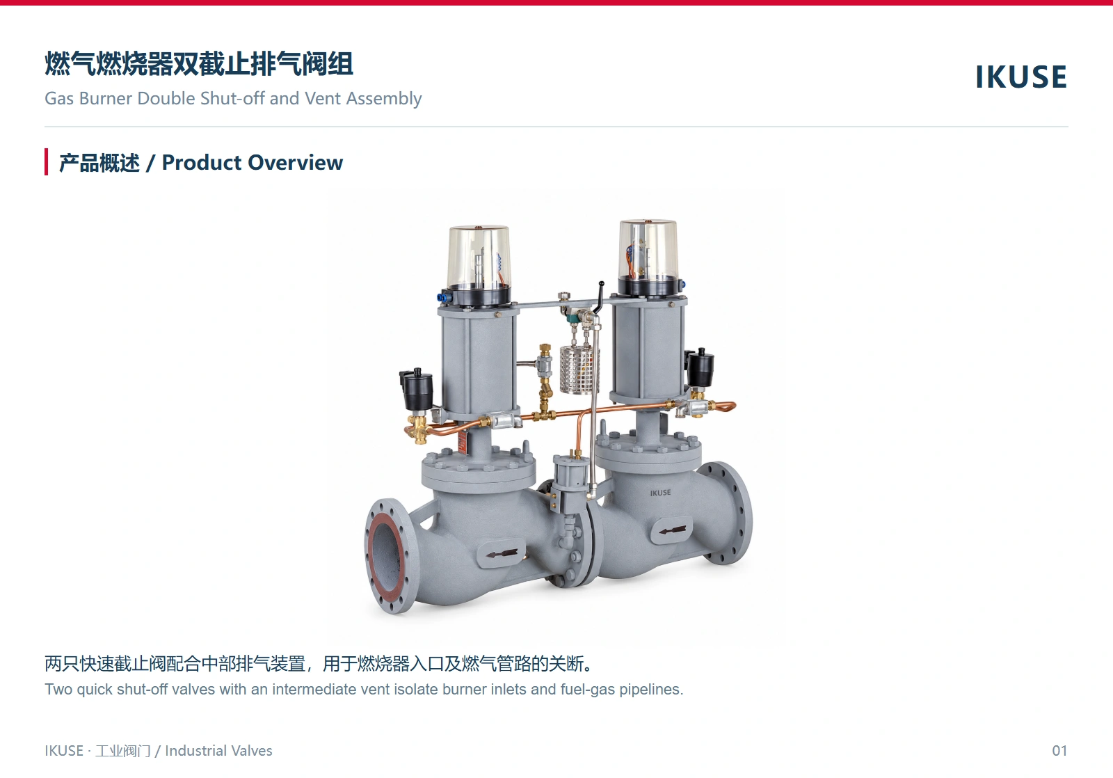 IKUSE 燃气燃烧器双截止排气阀组图2