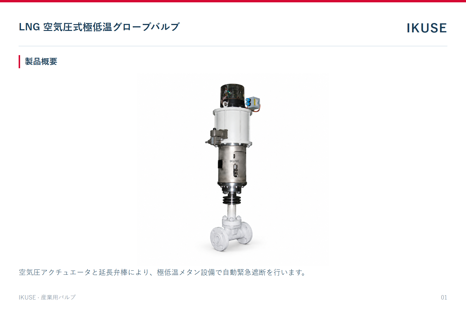 製品概要