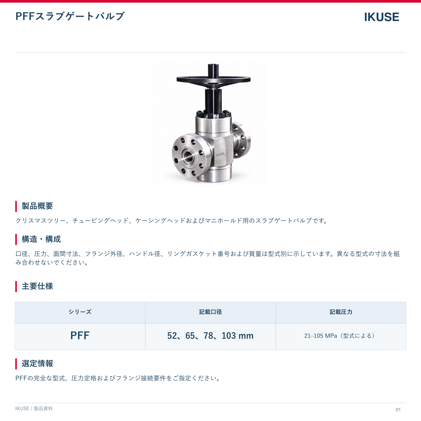 IKUSE PFFスラブゲートバルブ画像2