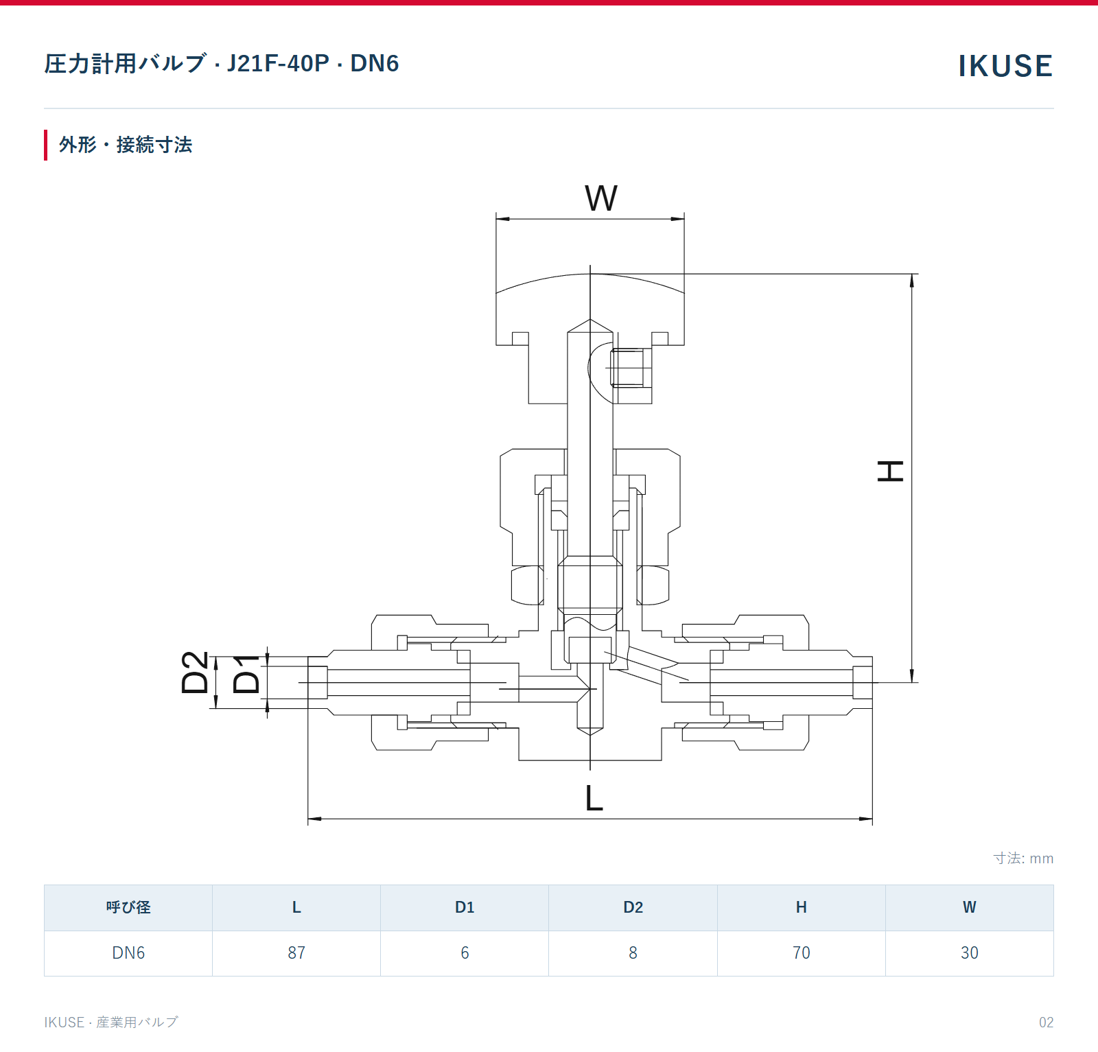 IKUSE 圧力計用バルブ · J21F-40P · DN6画像2