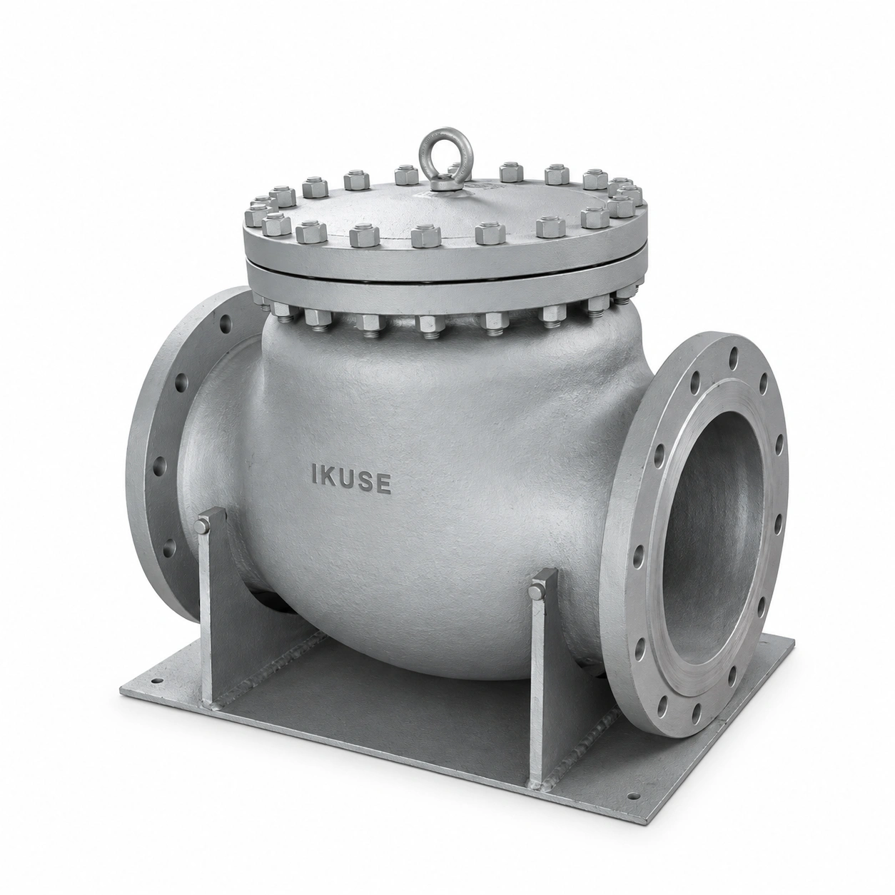 IKUSE フランジ形スイング形逆止弁 · PN16–100