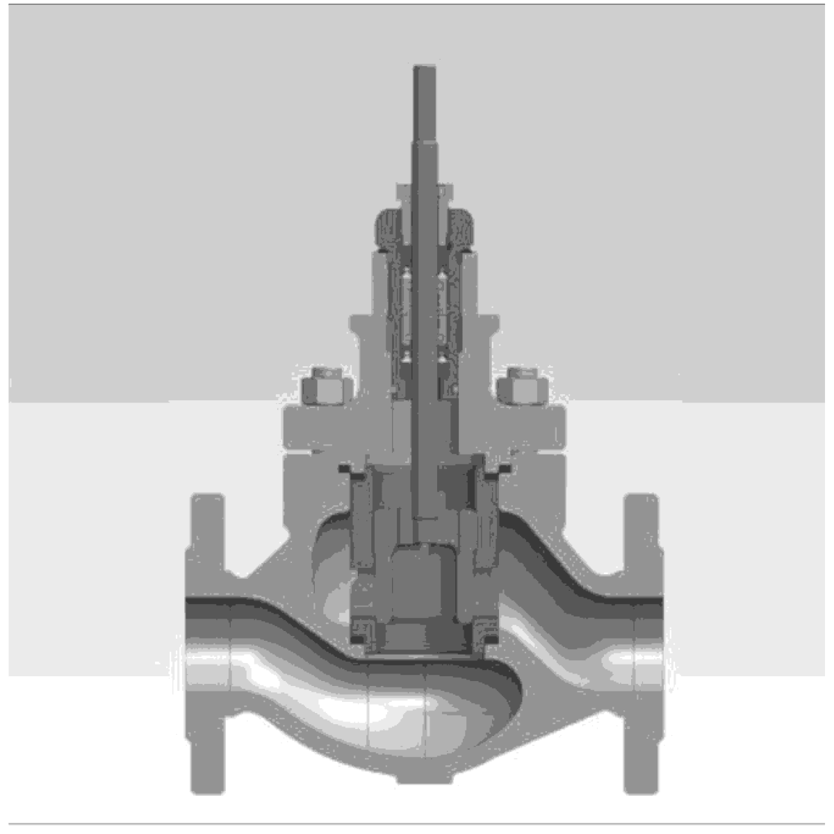 IKUSE 10G Balanced Double-seat Cage Control Valve