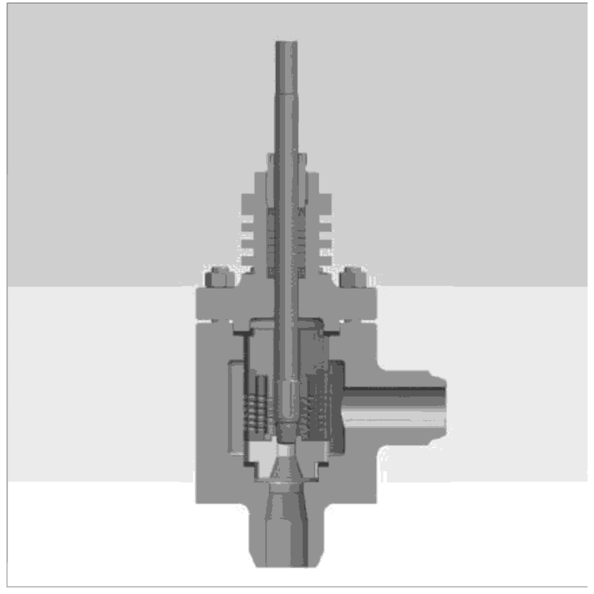 IKUSE 10S Unbalanced Multistage Pressure-reduction Control Valve