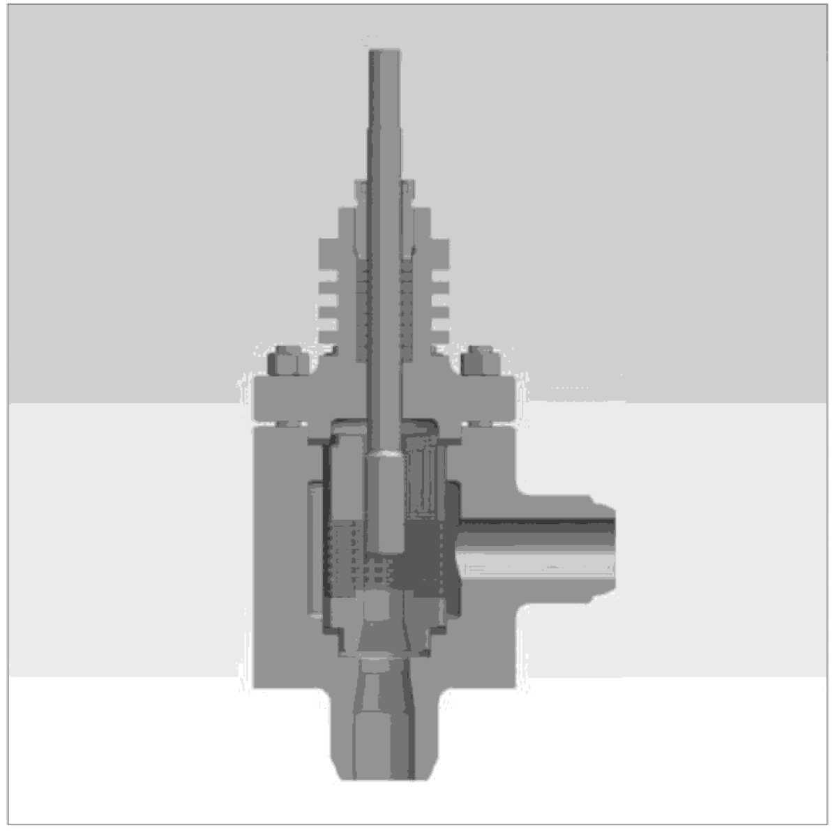 IKUSE 10M Unbalanced Labyrinth Control Valve