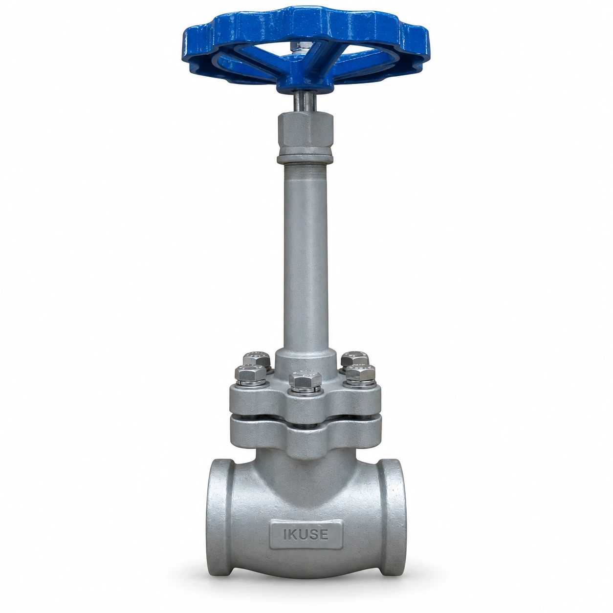 IKUSE Cryogenic Globe Valve · DJ61F-40P · DN10–50