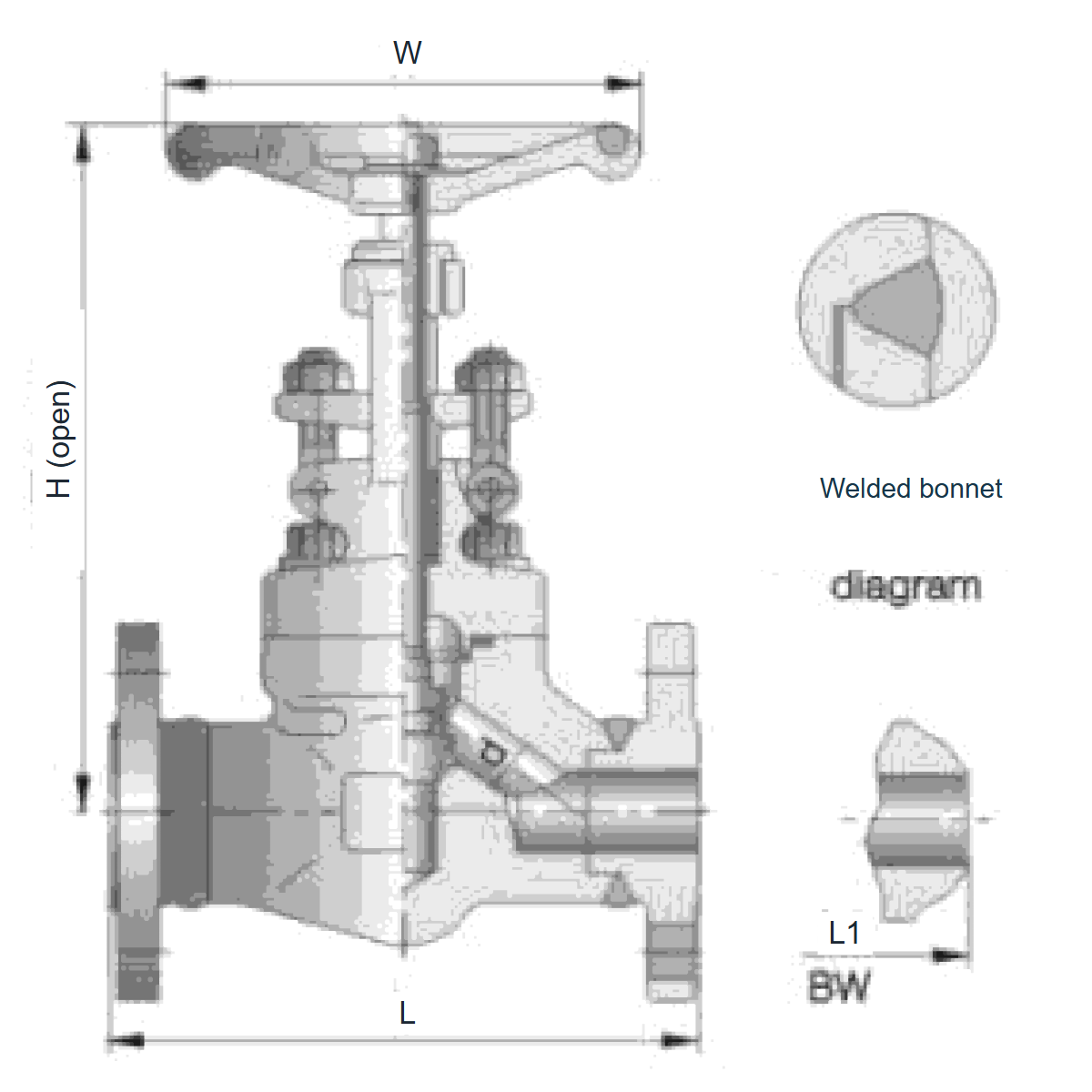 IKUSE Flanged / Butt-weld Forged Globe Valve · Class150–600