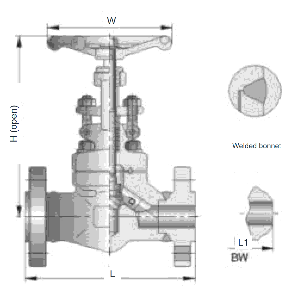IKUSE Flanged / Butt-weld Forged Globe Valve · Class900–1500