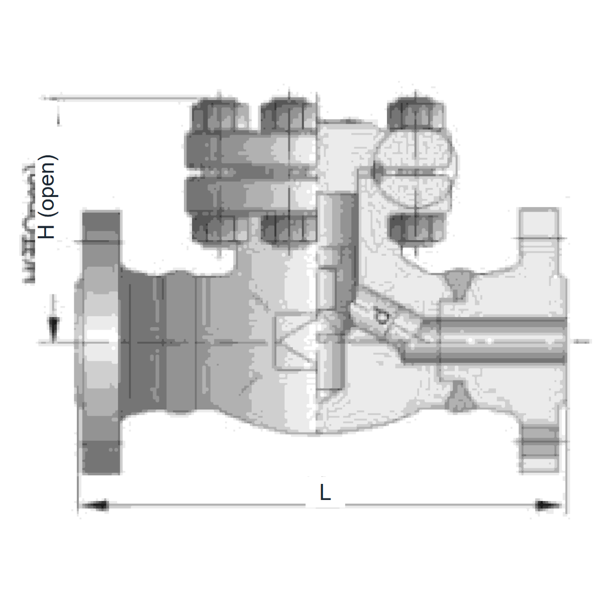 IKUSE Flanged Metal-ring Cover Forged Check Valve