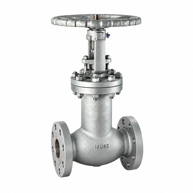 IKUSE Flanged Cast Steel Globe Valve · PN16–100